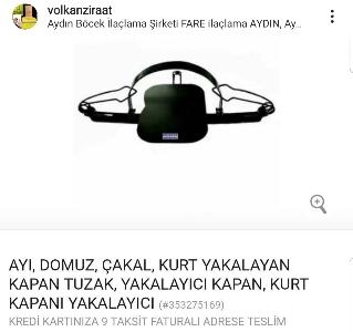 Ayı kurt domuz yakalayan kapan