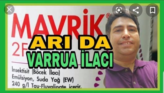 Mavrik 2F arı varrua ilacı