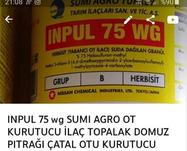 Inpul topalak ot ilacı 1 adet