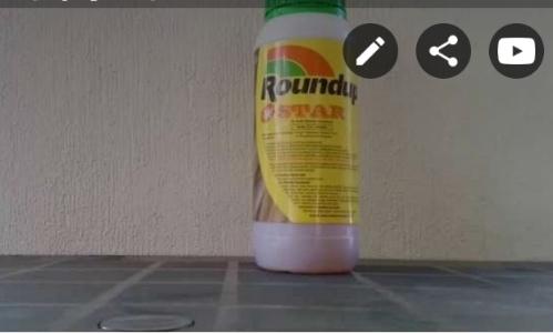 Roundup star ot ilacı 1lt