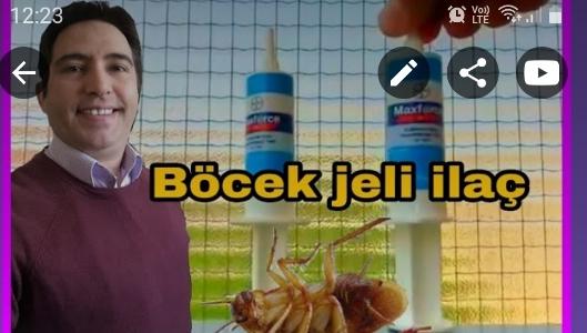 Maxforce jel böcek ilacı 20gr şırınga