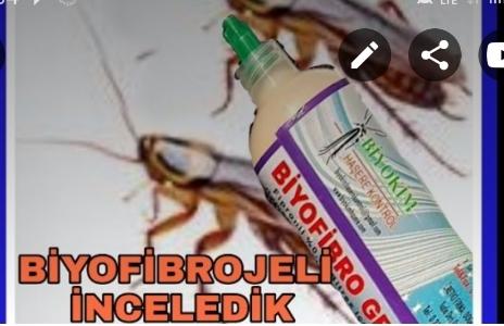 Biyofibrojel 35gr böcek öldürücü yem