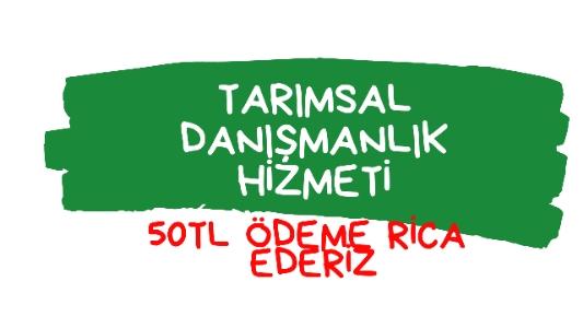 Tarımsal danışmanlık hizmeti