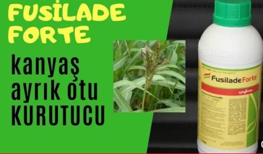 Fusilade forte  ayrık otu ilacı