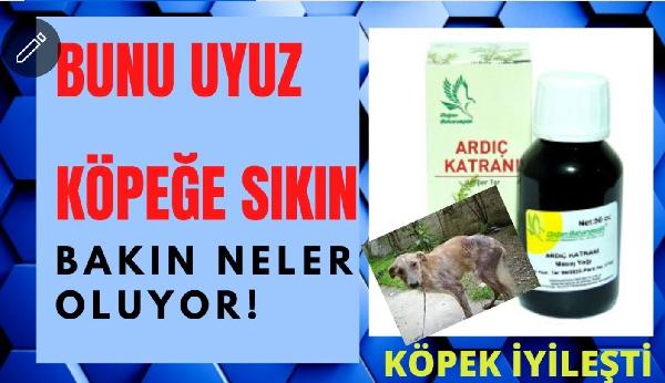 UYUZ BİT TEDAVİSİ İYİLESTİRiR 